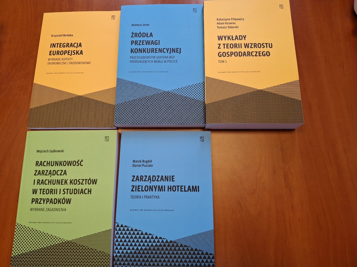Plik przedstawia opublikowane monografie w ramach serii wydawniczej IEFiZ