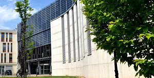 Instytut Ekonomii, Finansów i Zarządzania
